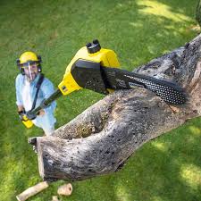 Best Weed Control  in Decatur, GA