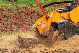 Best Pest Control for Lawns  in Decatur, GA
